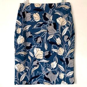 NWOT BANANA REPUBLIC SKIRT BLUE FLORAL SIZE 2